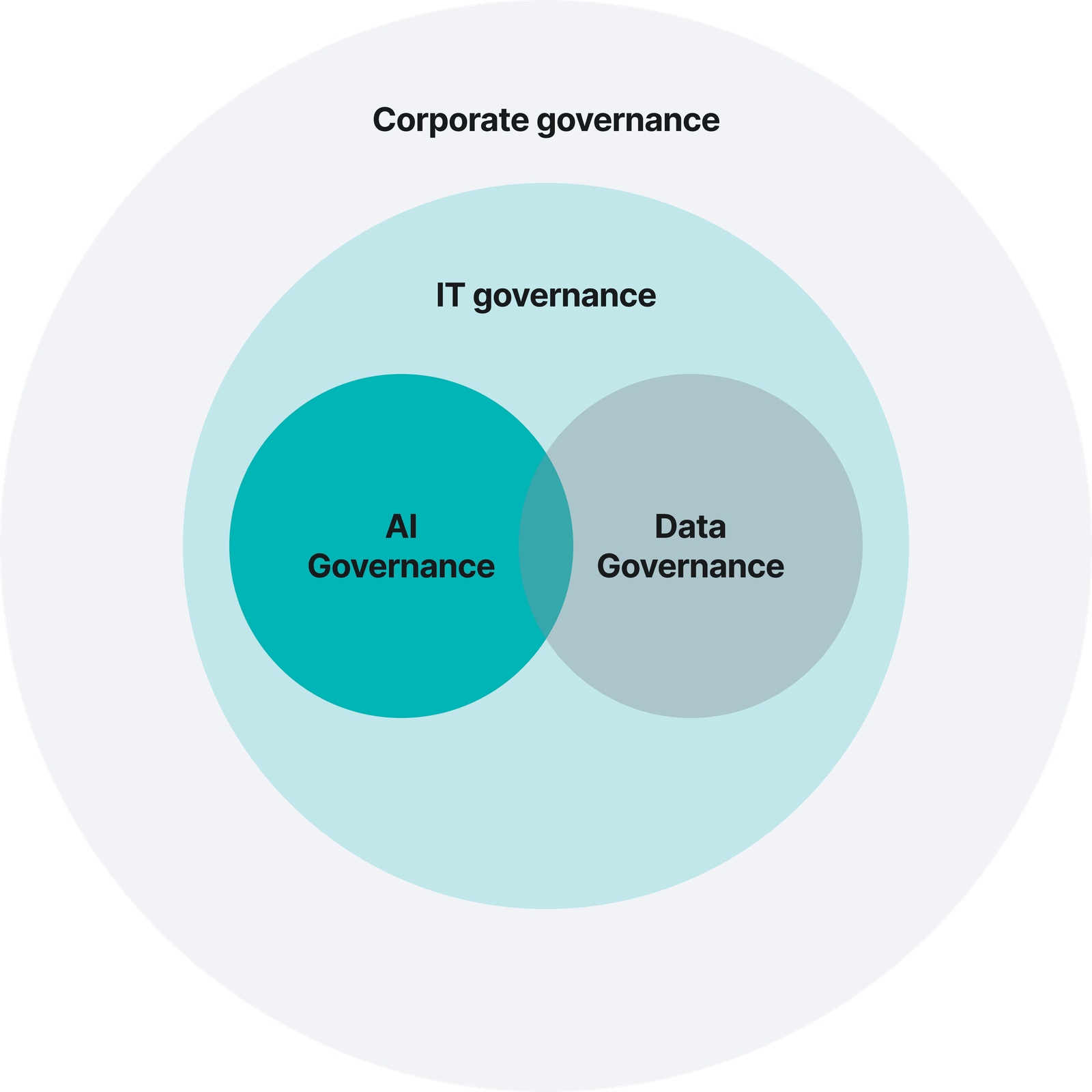 AI Data Governance